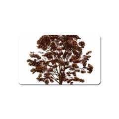 Tree Vector Ornament Color Magnet (name Card)