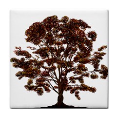 Tree Vector Ornament Color Face Towel