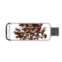Tree Vector Ornament Color Portable Usb Flash (two Sides)