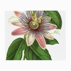 Passion Flower Flower Plant Blossom Small Glasses Cloth by Sapixe