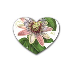 Passion Flower Flower Plant Blossom Heart Coaster (4 Pack) 