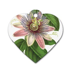 Passion Flower Flower Plant Blossom Dog Tag Heart (two Sides)