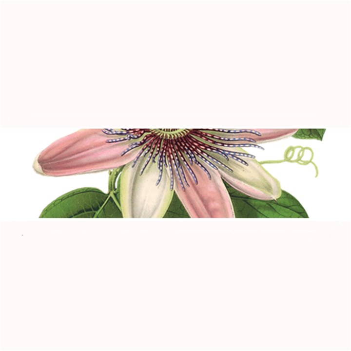 Passion Flower Flower Plant Blossom Large Bar Mats