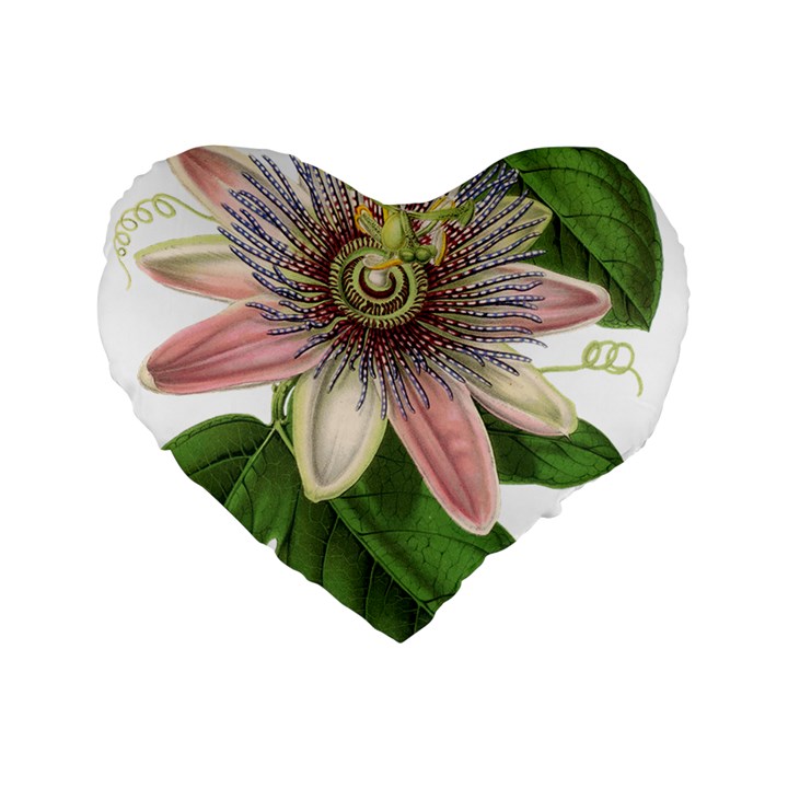 Passion Flower Flower Plant Blossom Standard 16  Premium Heart Shape Cushions