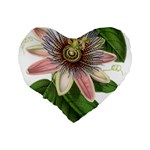 Passion Flower Flower Plant Blossom Standard 16  Premium Heart Shape Cushions Back