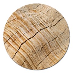 Abstract Brown Tree Timber Pattern Magnet 5  (round)