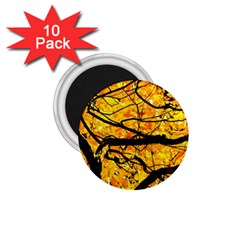 Golden Vein 1 75  Magnets (10 Pack) 