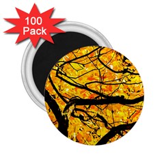 Golden Vein 2 25  Magnets (100 Pack) 