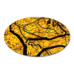 Golden Vein Oval Magnet