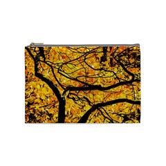 Golden Vein Cosmetic Bag (medium)  by FunnyCow