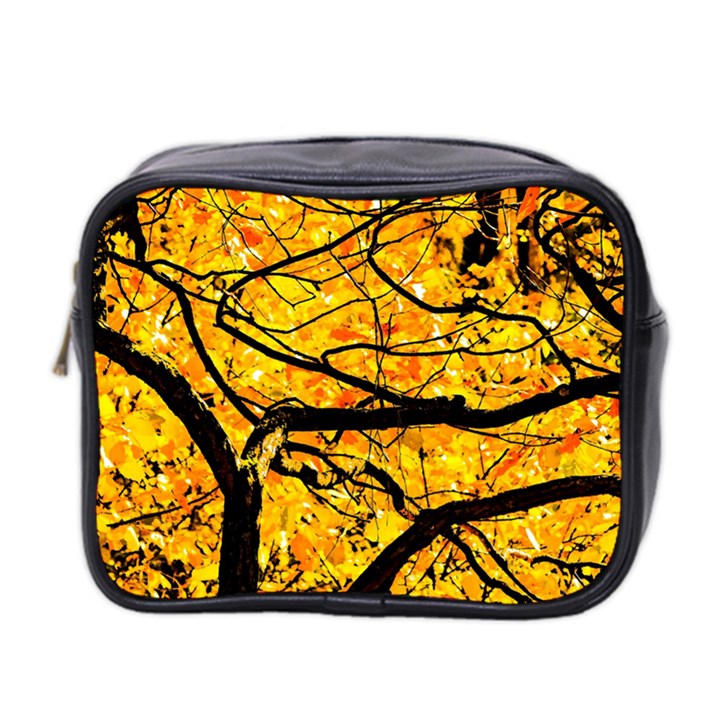 Golden Vein Mini Toiletries Bag 2-Side