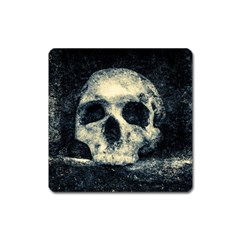 Skull Square Magnet by FunnyCow