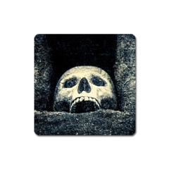 Smiling Skull Square Magnet by FunnyCow