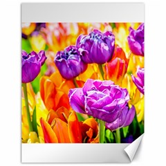 Tulip Flowers Canvas 18  X 24   by FunnyCow