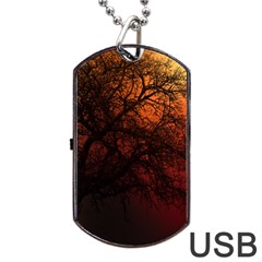 Sunset Silhouette Winter Tree Dog Tag Usb Flash (two Sides)