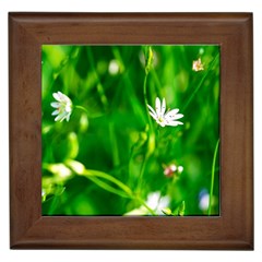 Inside The Grass Framed Tiles by FunnyCow