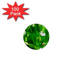 Inside The Grass 1  Mini Magnets (100 Pack) 