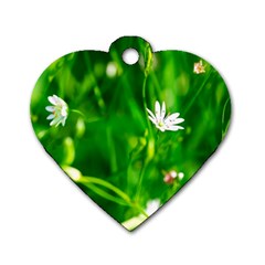 Inside The Grass Dog Tag Heart (one Side)