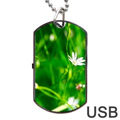 Inside The Grass Dog Tag Usb Flash (two Sides) by FunnyCow