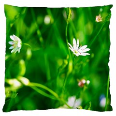 Inside The Grass Large Cushion Case (one Side) by FunnyCow