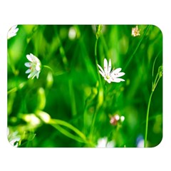 Inside The Grass Double Sided Flano Blanket (large) 