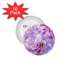 Pink Lilac Flowers 1 75  Buttons (10 Pack) by FunnyCow