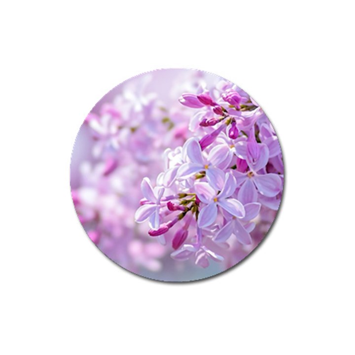 Pink Lilac Flowers Magnet 3  (Round)