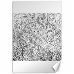 Willow Foliage Abstract Canvas 12  x 18   11.88 x17.36  Canvas - 1