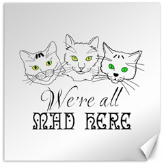 Funny Cats  We Are All Mad Here Canvas 12  X 12   by FunnyCow