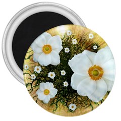 Summer Anemone Sylvestris 3  Magnets by Nexatart