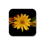 Sun Flower Blossom Bloom Particles Rubber Coaster (Square)  Front