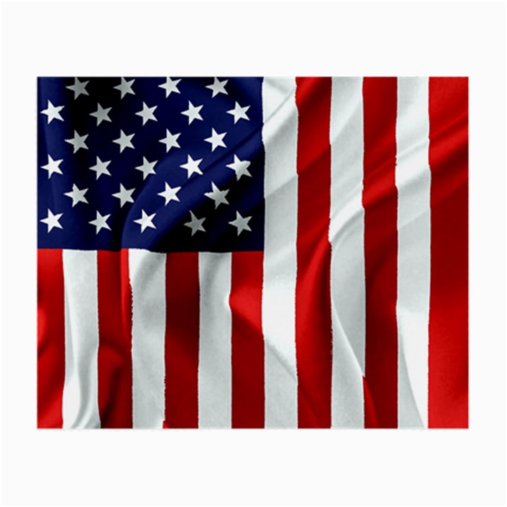 American Usa Flag Vertical Small Glasses Cloth (2-Side)