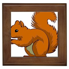 Squirrel Animal Pet Framed Tiles by Sapixe