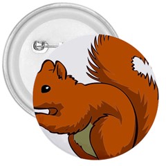 Squirrel Animal Pet 3  Buttons