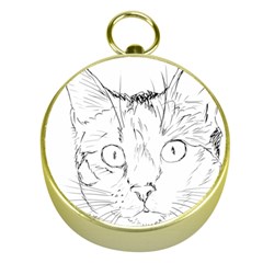 Cat Feline Animal Pet Gold Compasses by Sapixe