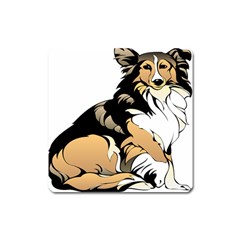 Dog Sitting Pet Collie Animal Square Magnet by Sapixe