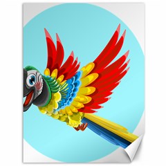 Parrot Animal Bird Wild Zoo Fauna Canvas 36  X 48  