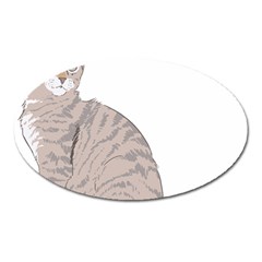 Kitten Cat Drawing Line Art Line Oval Magnet