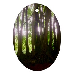 Tree of Trees Ornament (Oval)