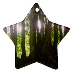 Tree of Trees Ornament (Star)