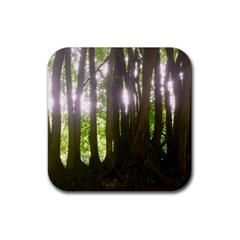 Tree of Trees Rubber Coaster (Square) 