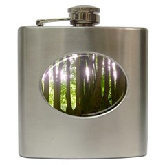 Tree of Trees Hip Flask (6 oz)