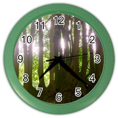 Tree of Trees Color Wall Clocks