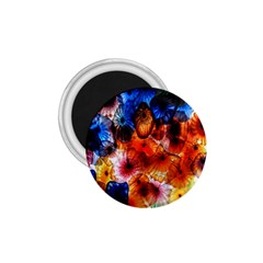 Ornament Color Vivid Pattern Art 1 75  Magnets