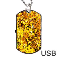 Birch Tree Yellow Leaves Dog Tag Usb Flash (two Sides) by FunnyCow