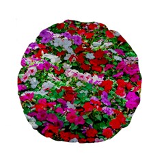 Colorful Petunia Flowers Standard 15  Premium Round Cushions by FunnyCow