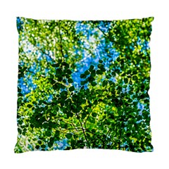 Forest   Strain Towards The Light Standard Cushion Case (two Sides) by FunnyCow