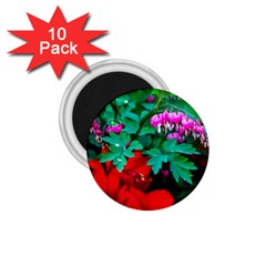 Bleeding Heart Flowers 1 75  Magnets (10 Pack) 