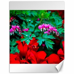 Bleeding Heart Flowers Canvas 12  X 16   by FunnyCow