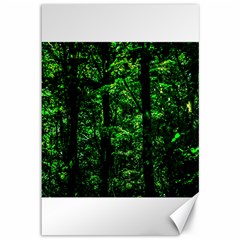 Emerald Forest Canvas 12  X 18   by FunnyCow